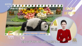 久久精品94精品久久精品动漫